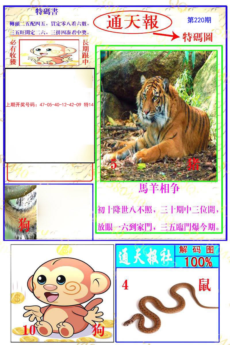 2024220期通天特解图