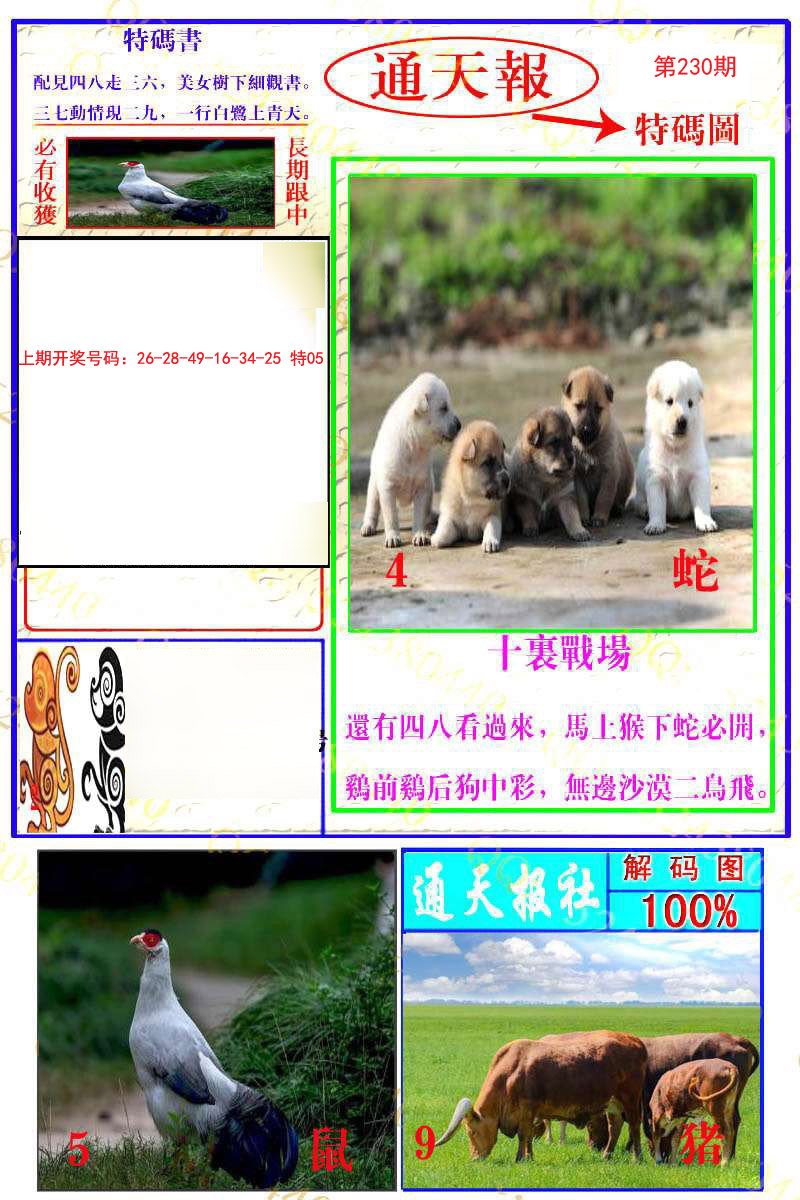 2024230期通天特解图