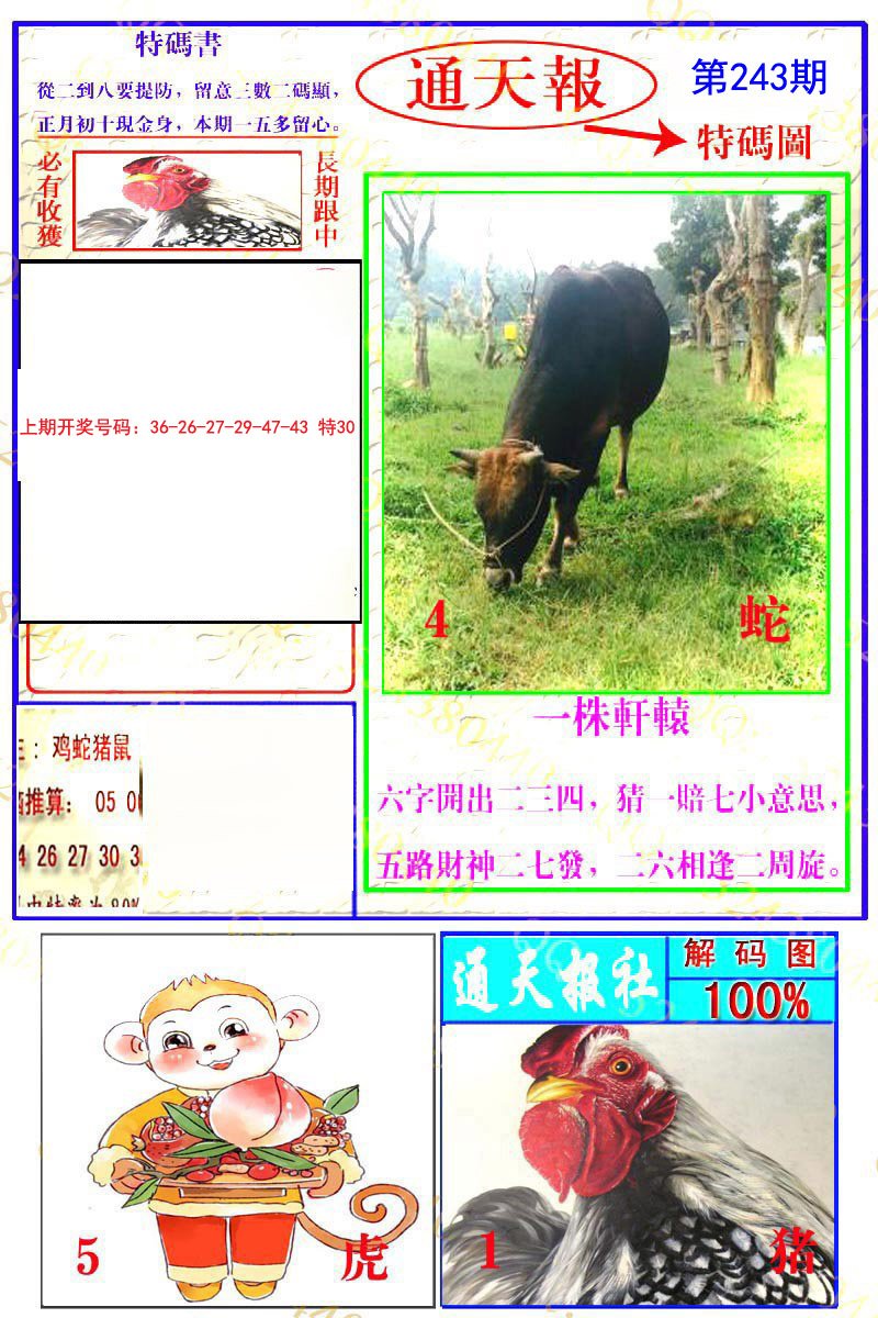 2024243期通天特解图