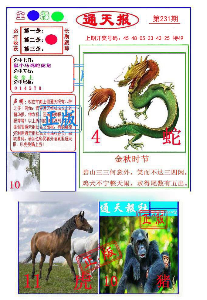 2024231期通天杀波图1