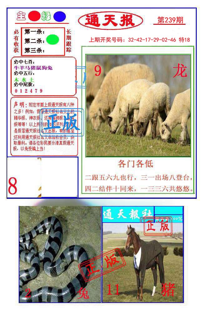 2024239期通天杀波图1