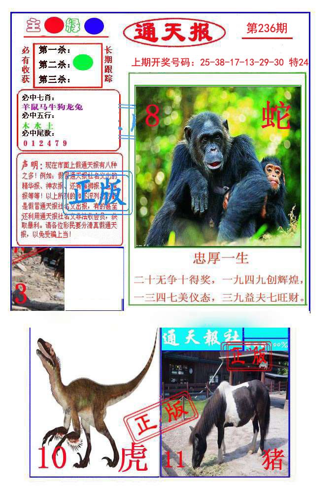 2024236期通天杀波图1