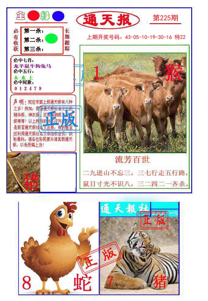 2024225期通天杀波图1