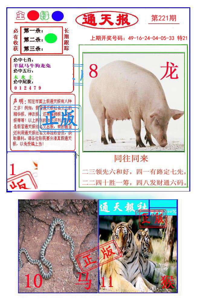 2024221期通天杀波图1