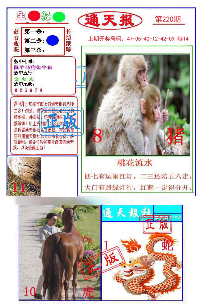 2024220期通天杀波图1