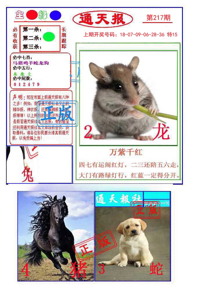 2024217期通天杀波图1