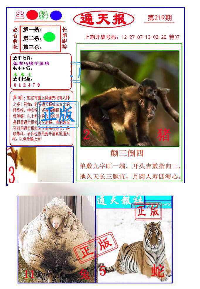 2024219期通天杀波图1