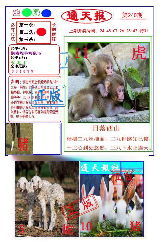 2024240期通天杀波图1