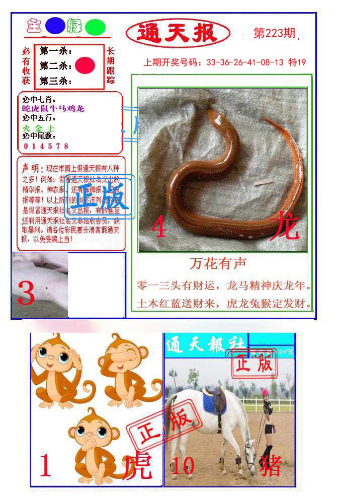2024223期通天杀波图1