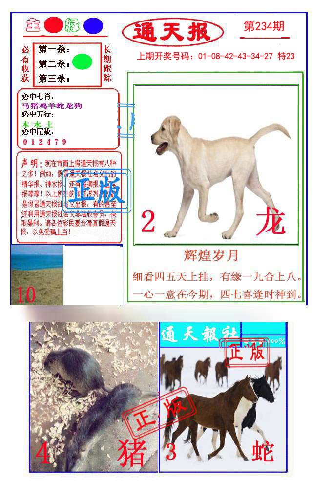 2024234期通天杀波图1