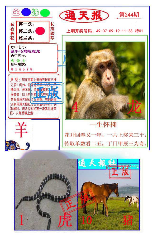 2024244期通天杀波图1