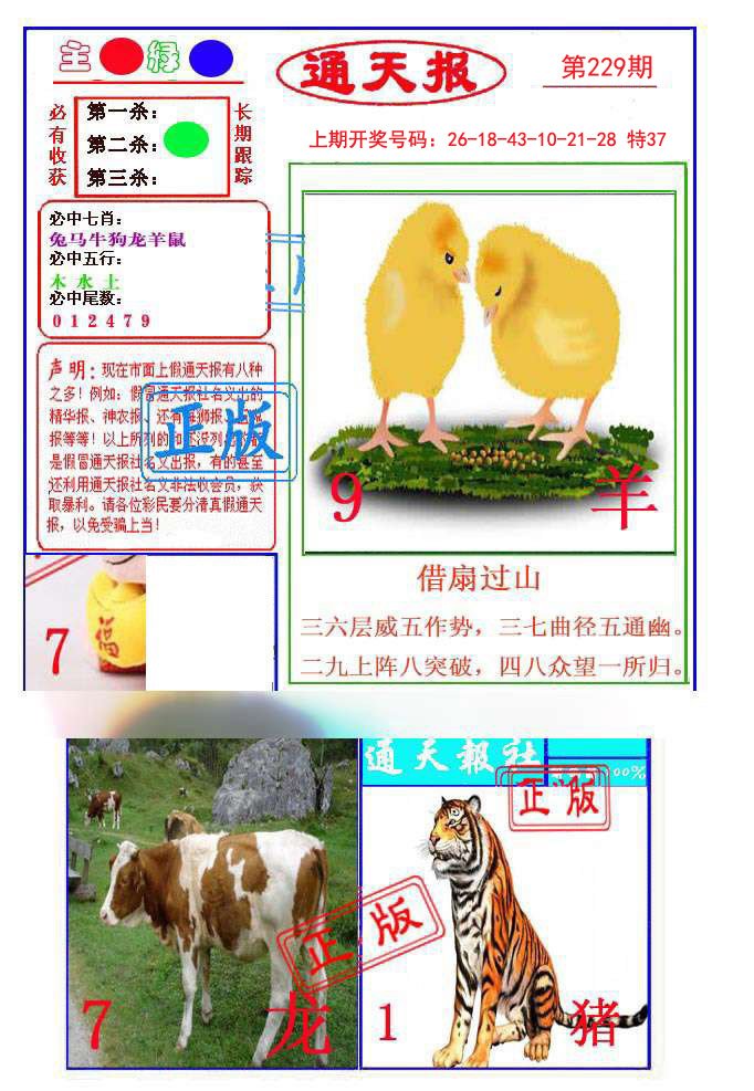 2024229期通天杀波图1