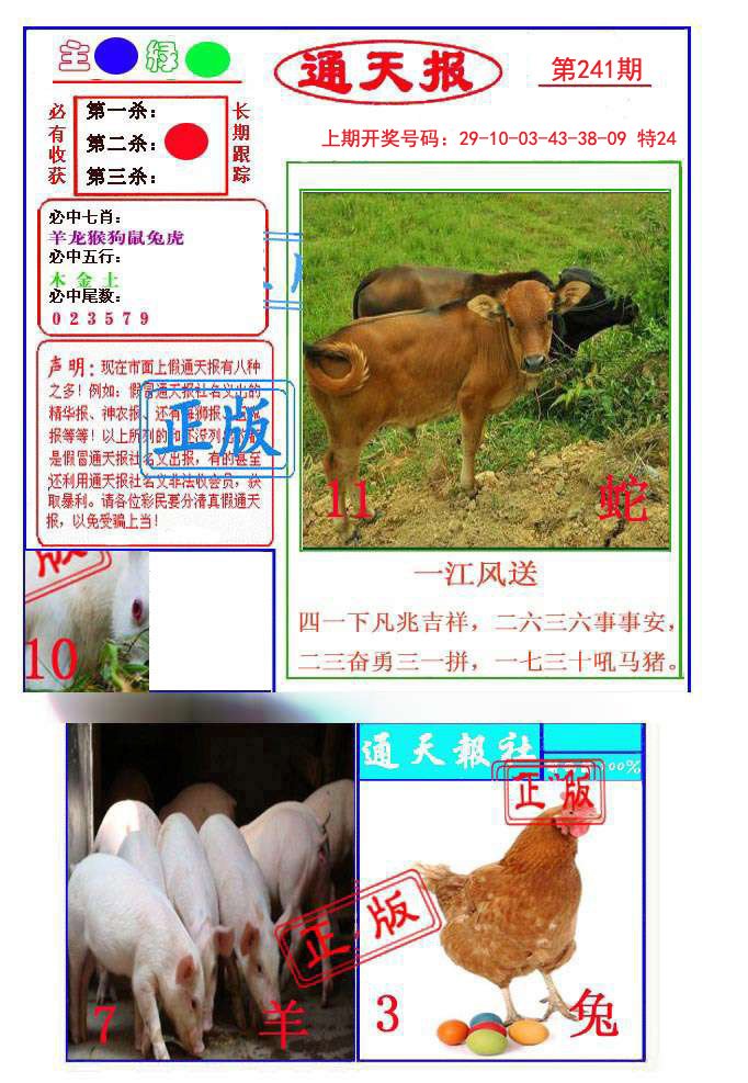 2024241期通天杀波图1