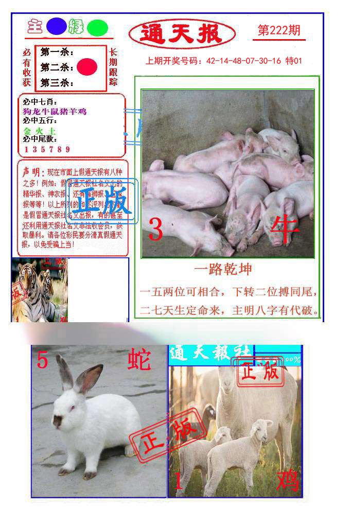 2024222期通天杀波图1