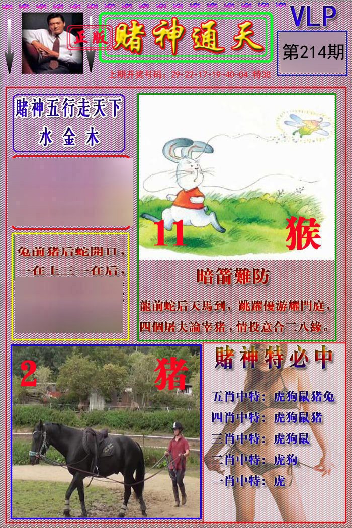 2024214期赌神通天报