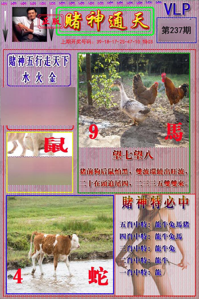 2024237期赌神通天报