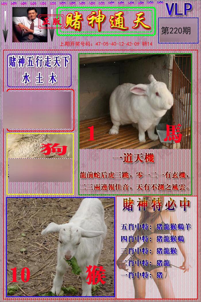 2024220期赌神通天报