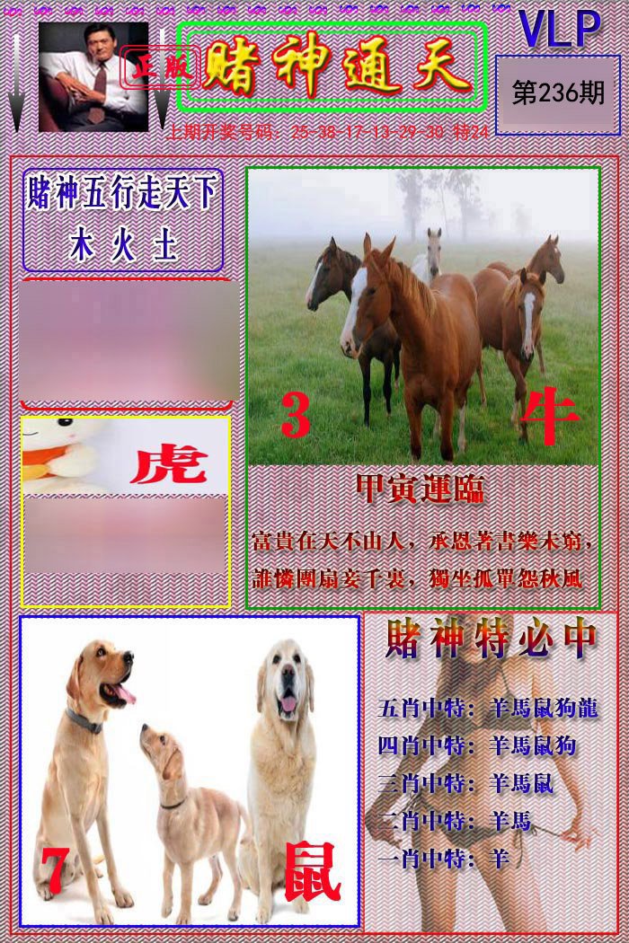 2024236期赌神通天报