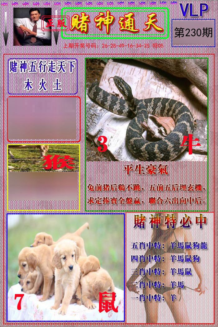2024230期赌神通天报