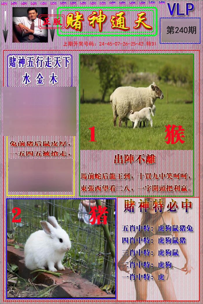 2024240期赌神通天报