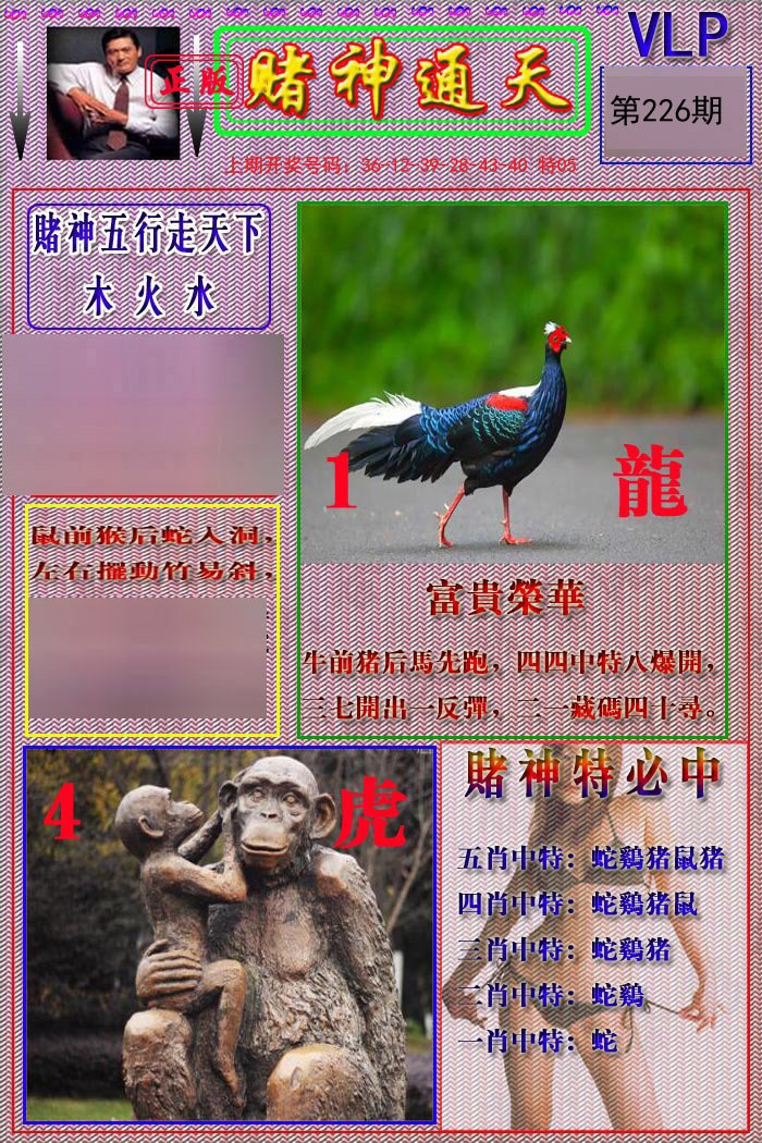 2024226期赌神通天报