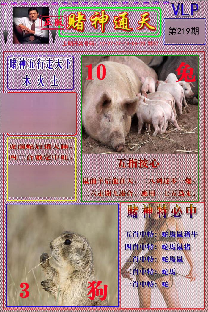 2024219期赌神通天报