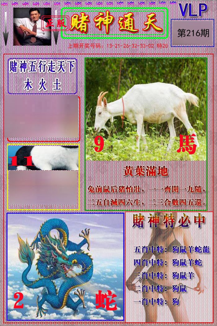 2024216期赌神通天报