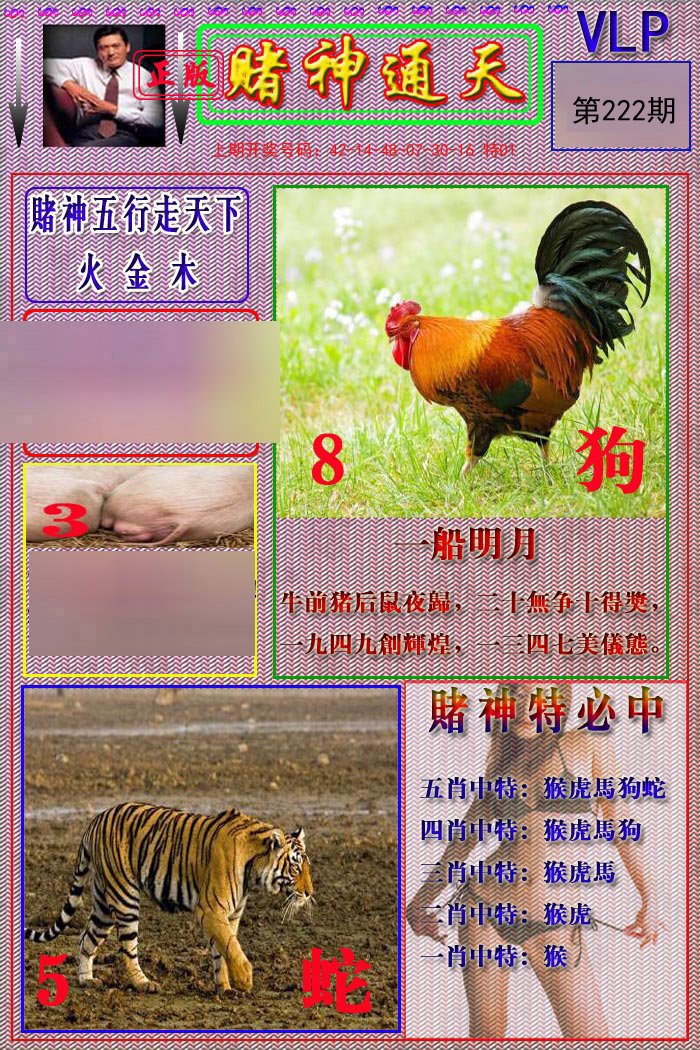 2024222期赌神通天报