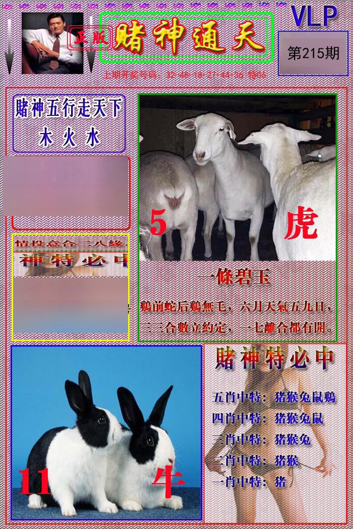 2024215期赌神通天报