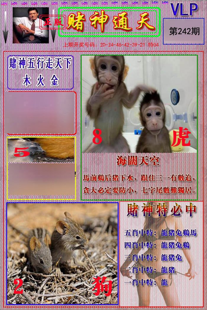 2024242期赌神通天报