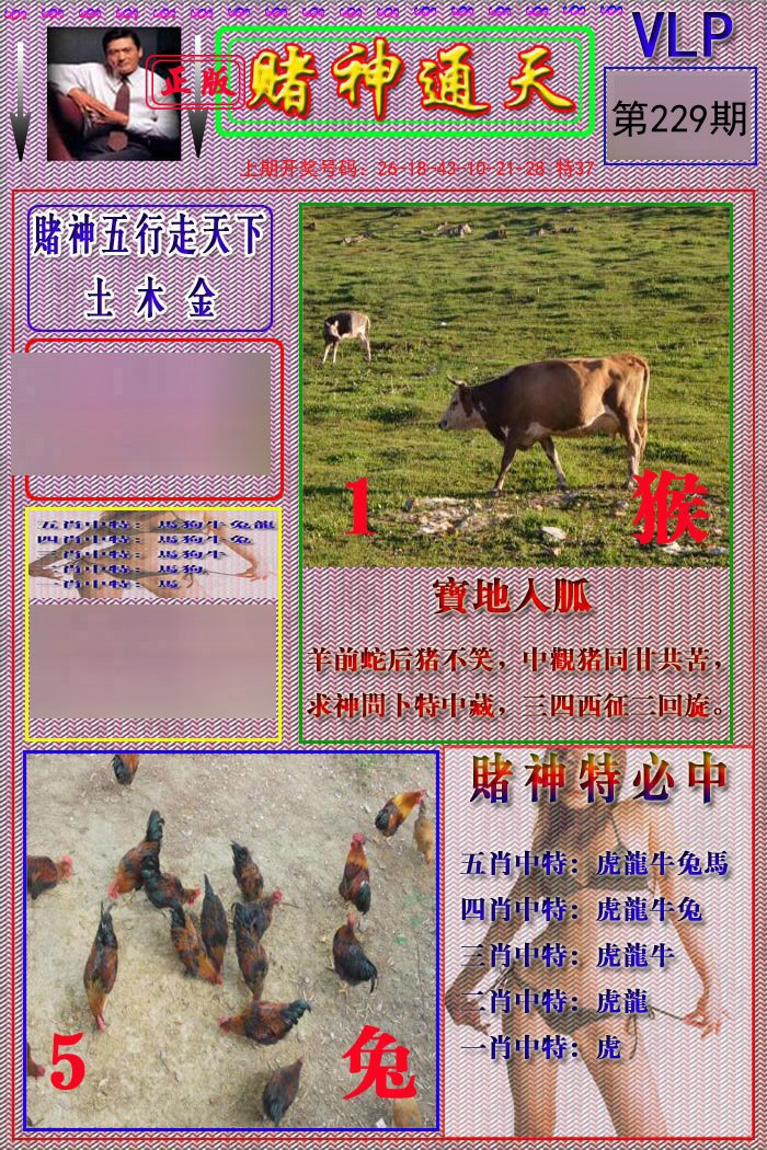 2024229期赌神通天报