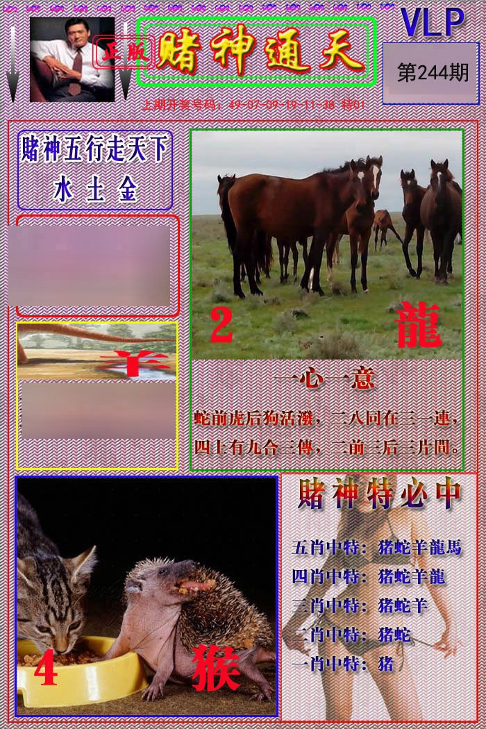 2024244期赌神通天报