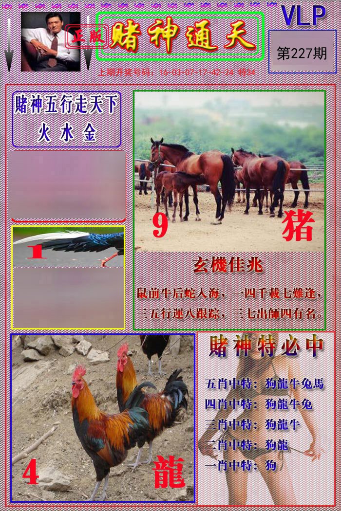 2024227期赌神通天报