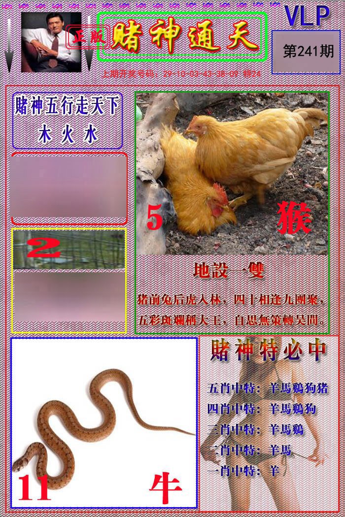 2024241期赌神通天报