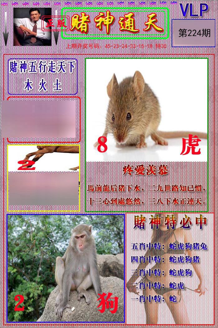 2024224期赌神通天报