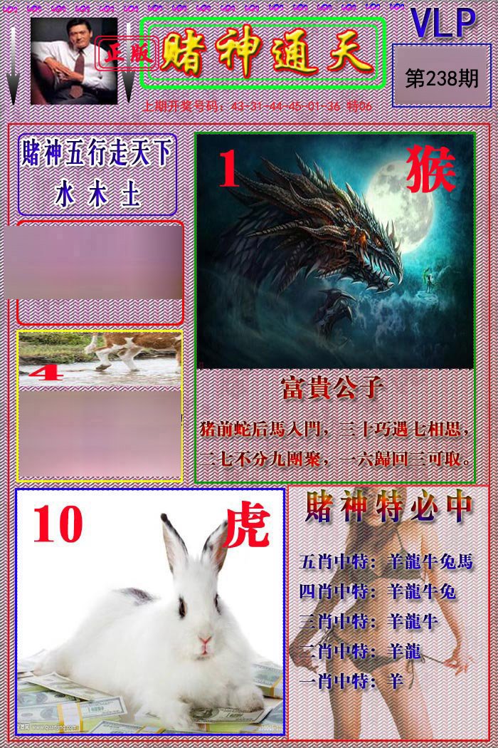 2024238期赌神通天报
