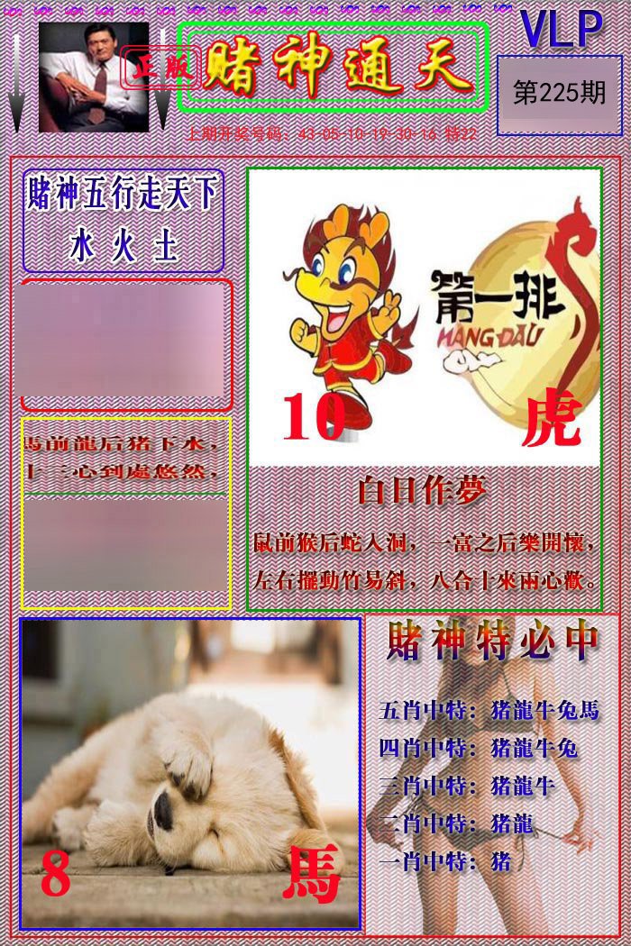 2024225期赌神通天报