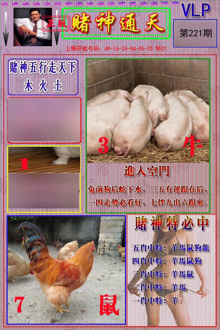 2024221期赌神通天报