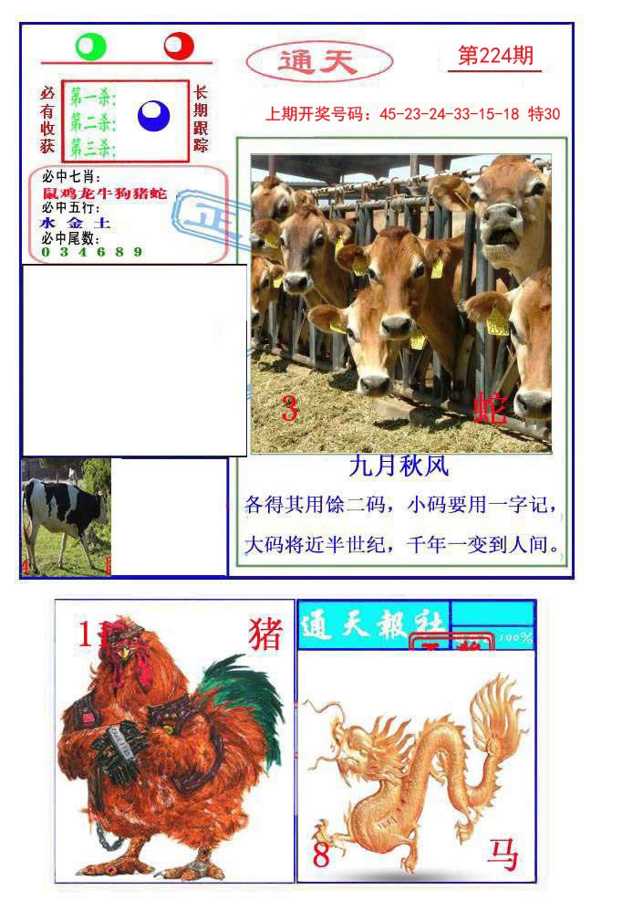 2024224期通天杀波图2