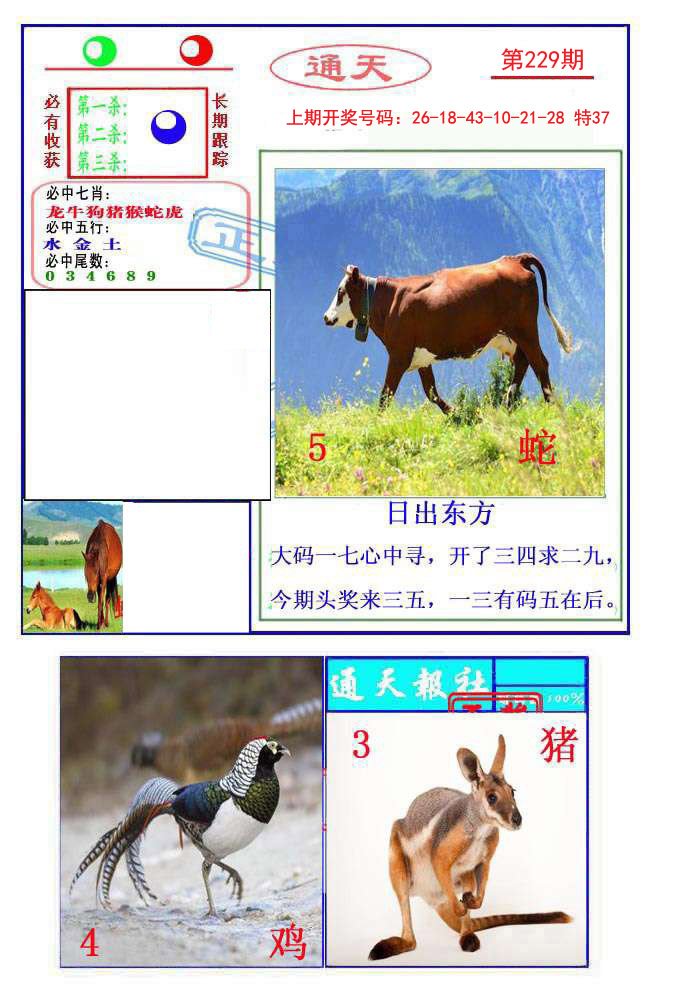 2024229期通天杀波图2