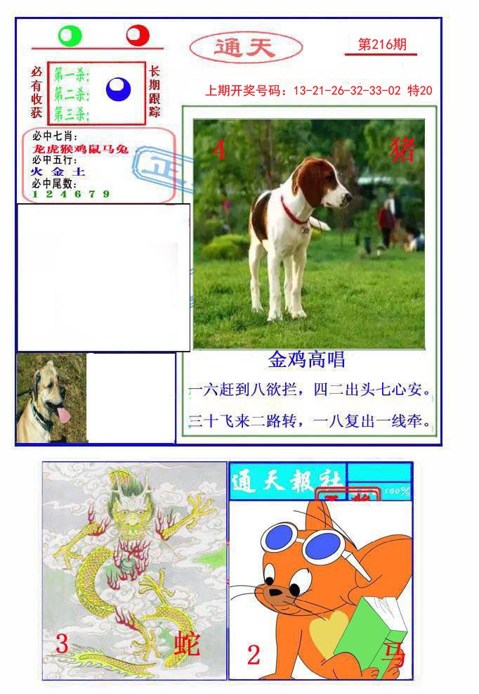 2024216期通天杀波图2