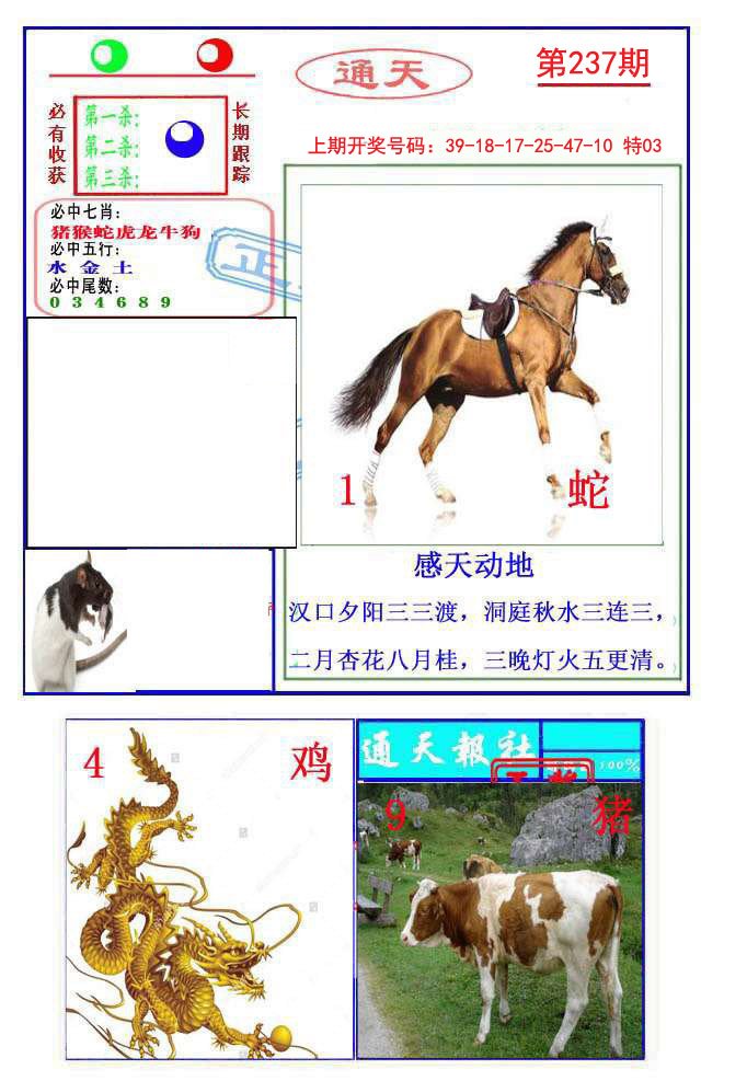 2024237期通天杀波图2