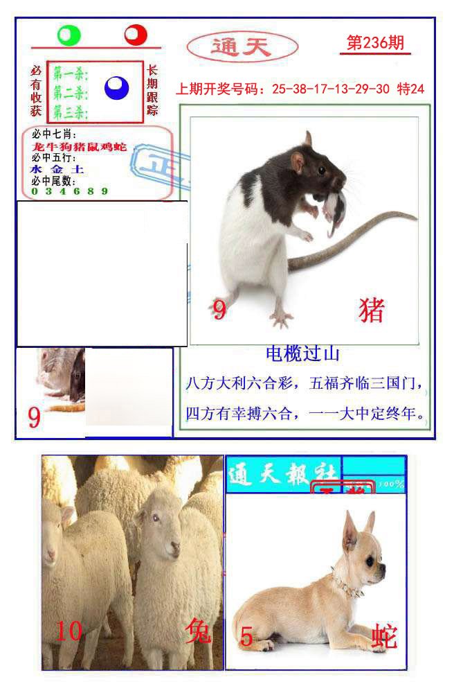 2024236期通天杀波图2