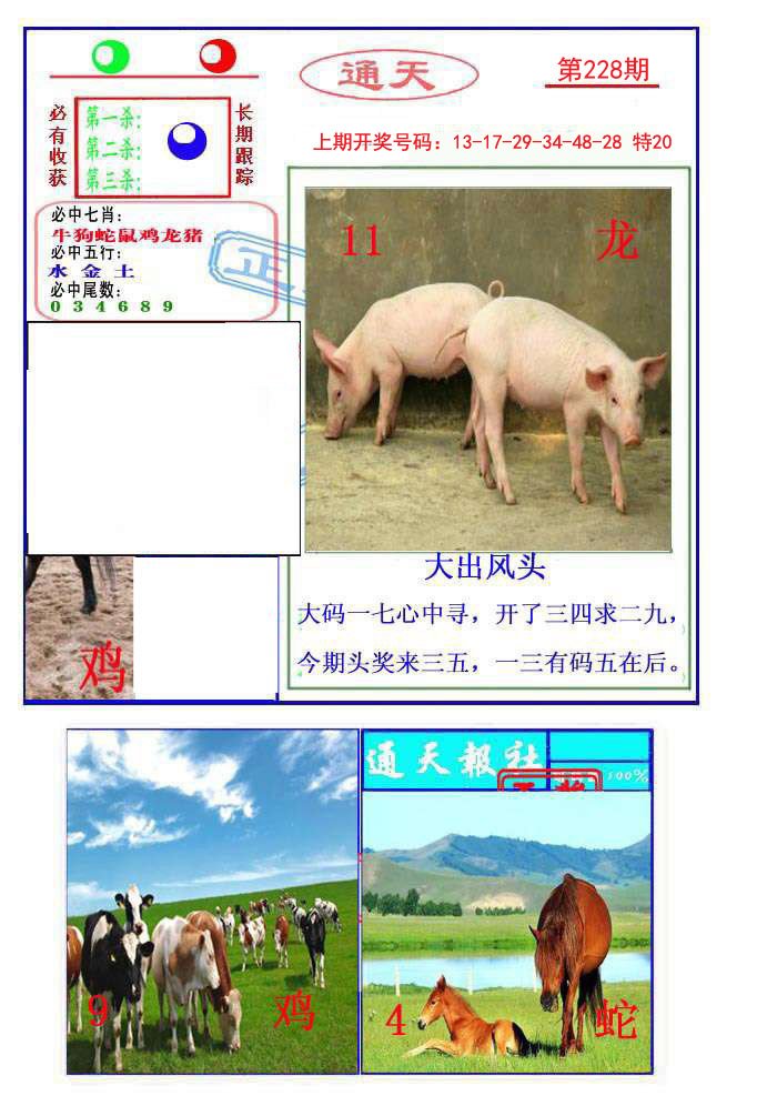 2024228期通天杀波图2