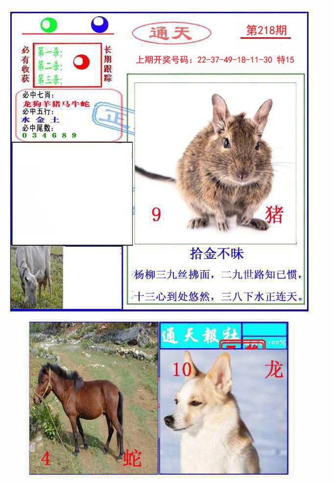 2024218期通天杀波图2