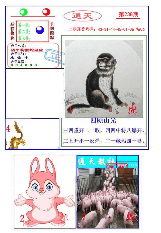 2024238期通天杀波图2