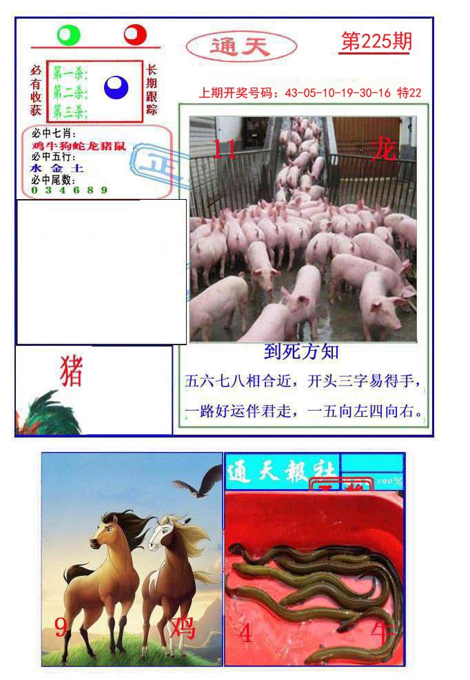 2024225期通天杀波图2