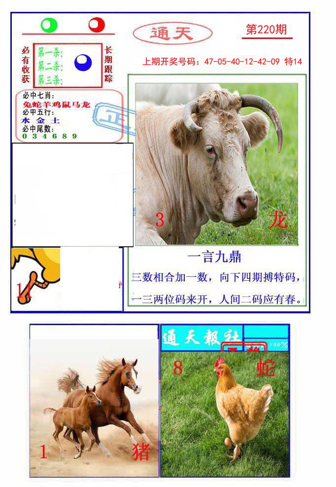 2024220期通天杀波图2