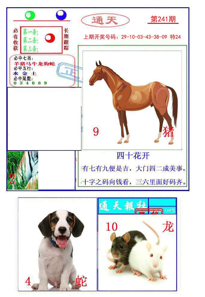 2024241期通天杀波图2