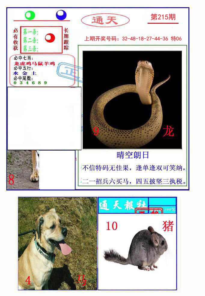 2024215期通天杀波图2